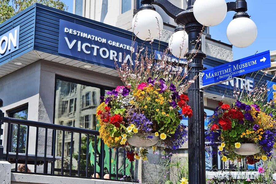 Pickle Pub Crawl: Ferry Rides and Appetizers - Chinatown: a downtown finish with a different mood
