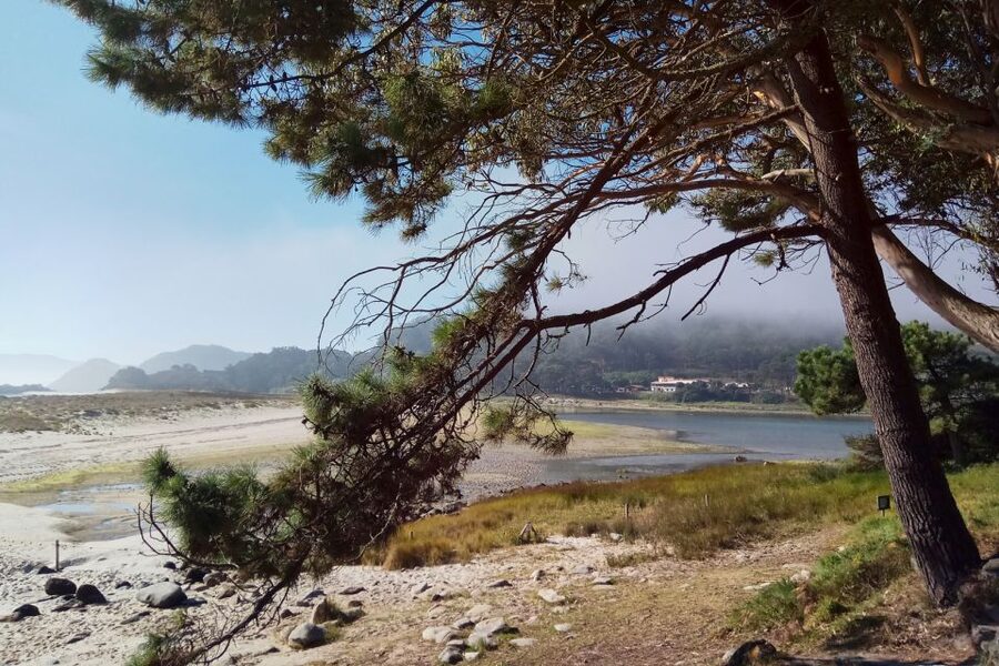 Portonovo: Ferry to Cies Islands & Rodas Beach - Leaving Portonovo for the Cíes Islands