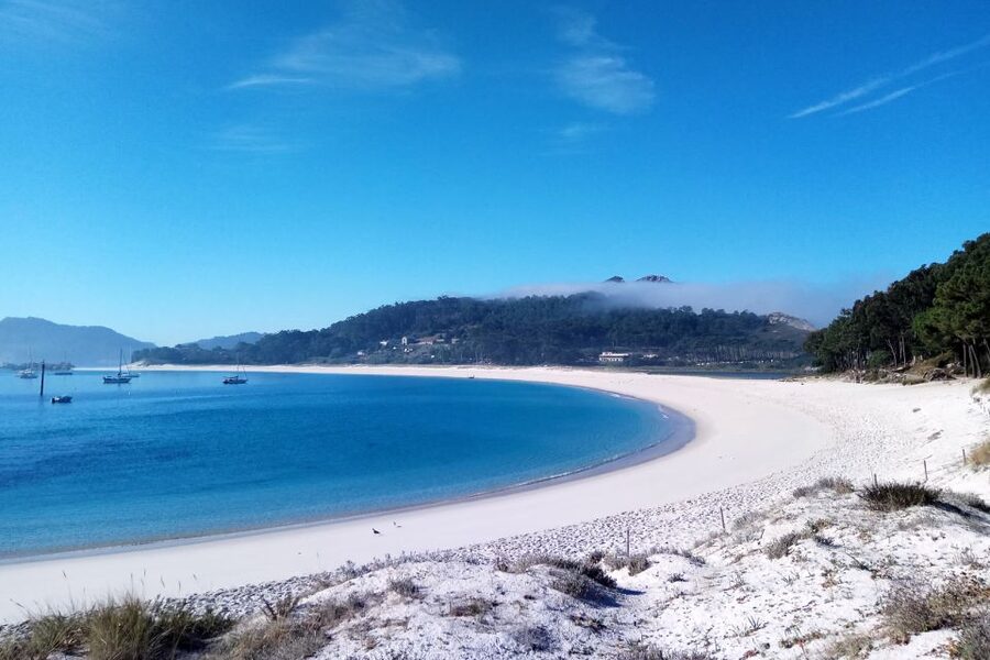 Portonovo: Ferry to Cies Islands & Rodas Beach - Who will enjoy this outing most