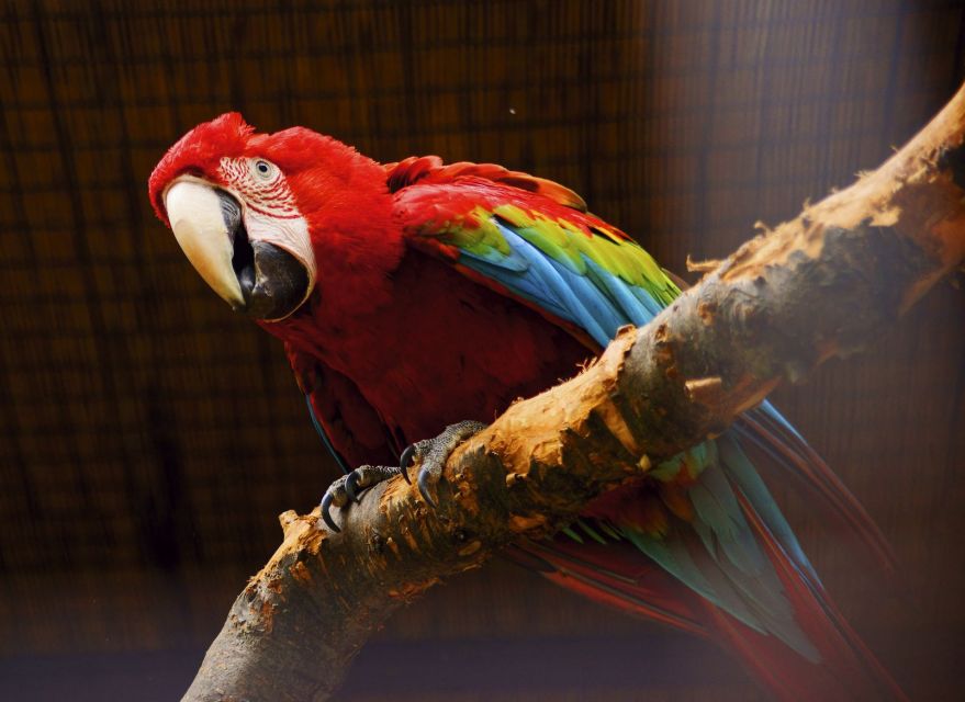 Prague: Boat Ride to the Zoo and Admission Ticket - Exploring at your own pace