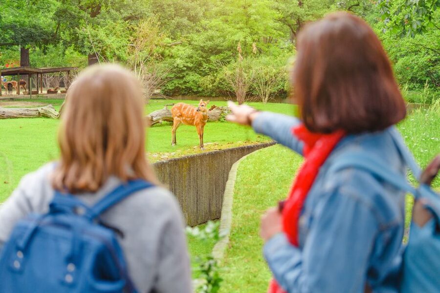 Prague: Boat Ride to the Zoo and Admission Ticket - Who should book this day out?