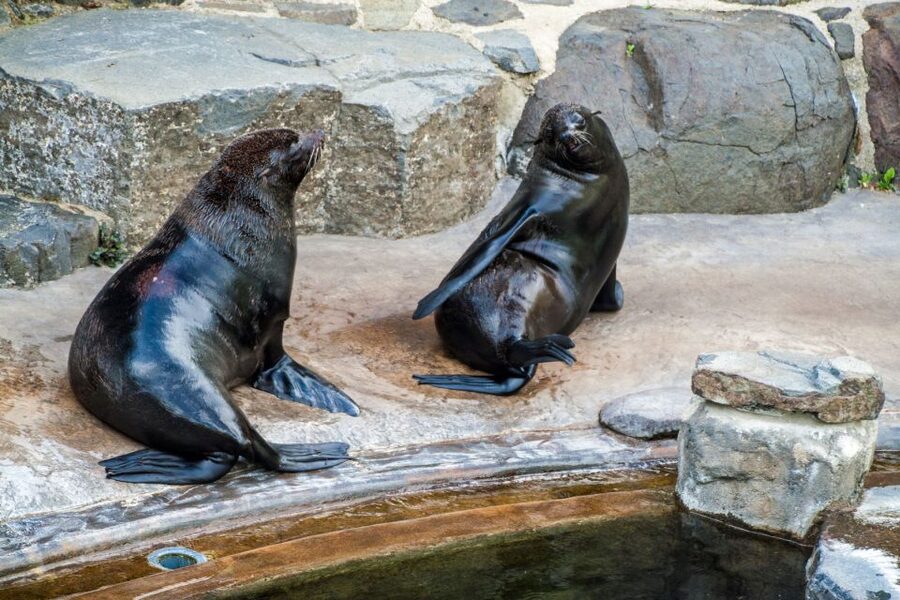 Prague: Boat Ride to the Zoo and Admission Ticket - Prague’s landmarks from the Vltava