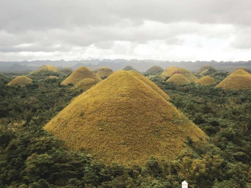PREMIUM Cebu-Bohol Day Tour with Roundtrip Ferry Transfers - Why this Cebu to Bohol day trip works