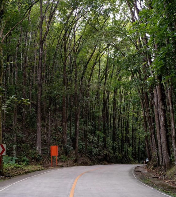 PREMIUM Cebu-Bohol Day Tour with Roundtrip Ferry Transfers - Optional shopping and the return to Cebu