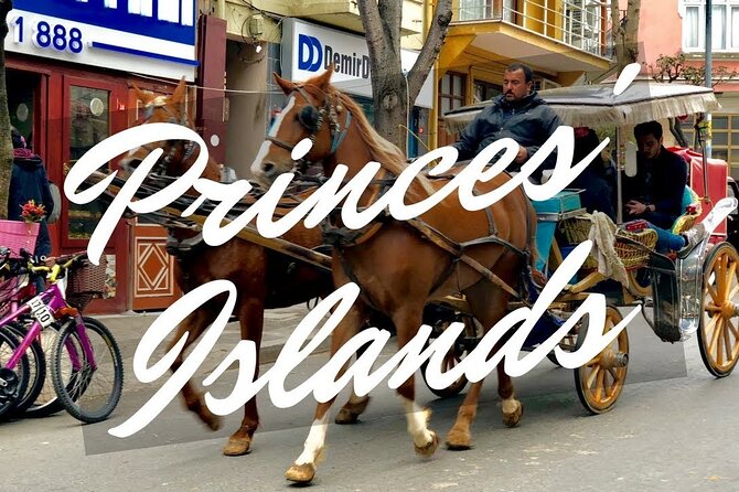 Princess Island Tour with Lunch & Ferry Ride - What the Arabic and English Guide Service Means