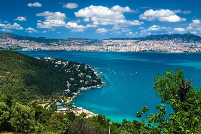 Princess Island Tour with Lunch & Ferry Ride - Arriving on Büyükada, Istanbul’s Largest Princess Island