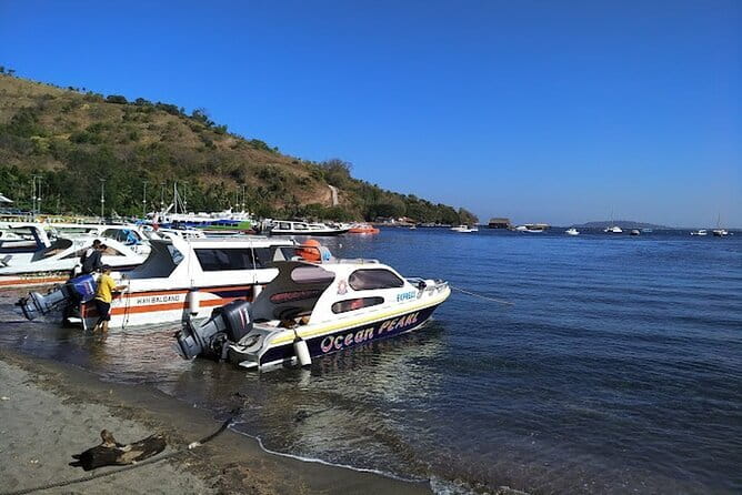 Private Speedboat transfer Between Lombok and Gili Islands - A fast crossing instead of a full boat trip