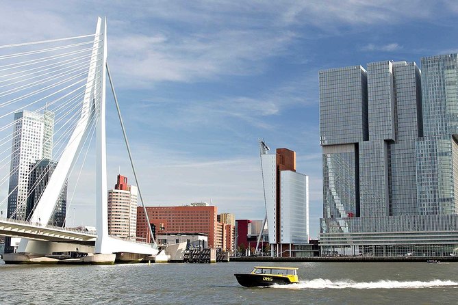Private Tour Rotterdam: Highlights, Water Taxi and Rooftop view - The Short Water Taxi Ride Under Erasmus Bridge