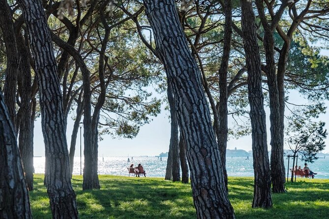 Punta Sabbioni to Venice Round-Trip Boat Ticket - The lagoon crossing and what you can see