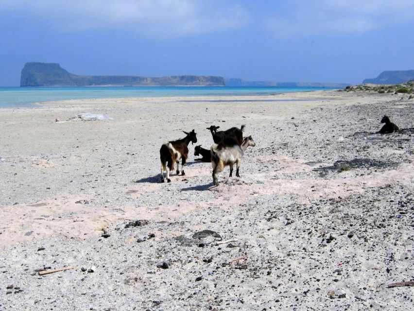 Rethymno: Gramvousa & Balos Lagoon Day Trip with Boat Ticket - Key points to know before booking
