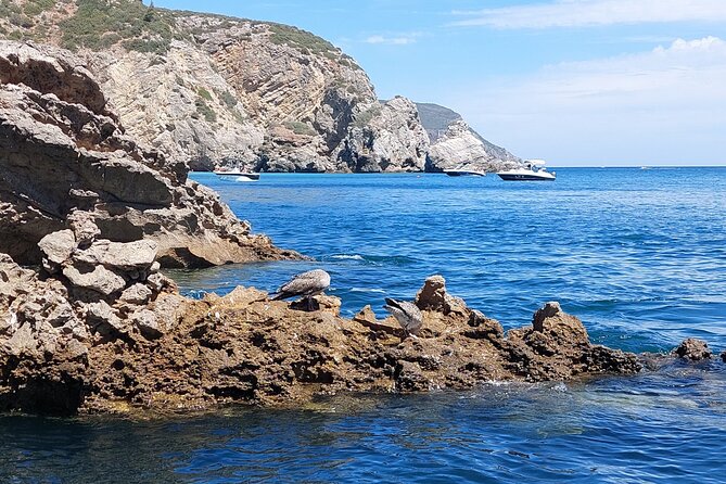 Ribeiro do Cavalo Beach Taxi Boat Transfer Round Trip - How long should you plan to stay?
