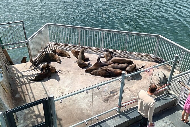 Robben Island Cape Of Good Hope Penguins Including Ferry Ticket - Why this Cape Town combination works