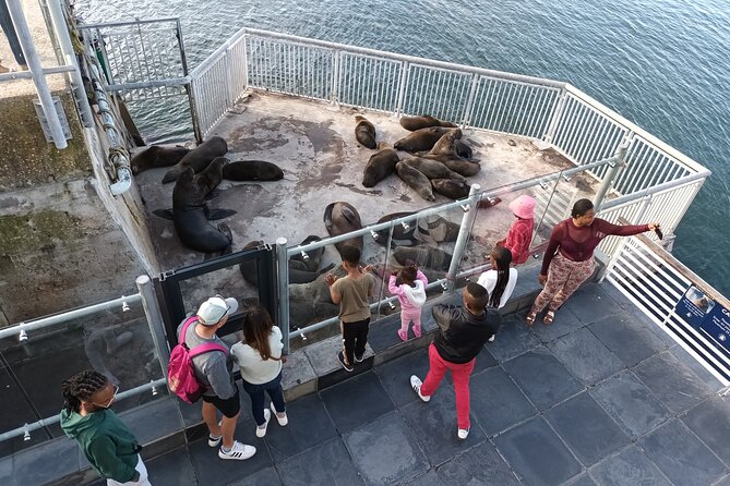 Robben Island Cape Of Good Hope Penguins Including Ferry Ticket - Cape of Good Hope and the fynbos reserve