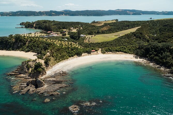 Rotoroa Island Ferry - from Auckland - Key points to know before you go