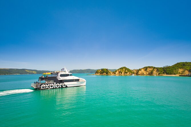 Rotoroa Island Ferry - from Auckland - Native birds on a predator-free island