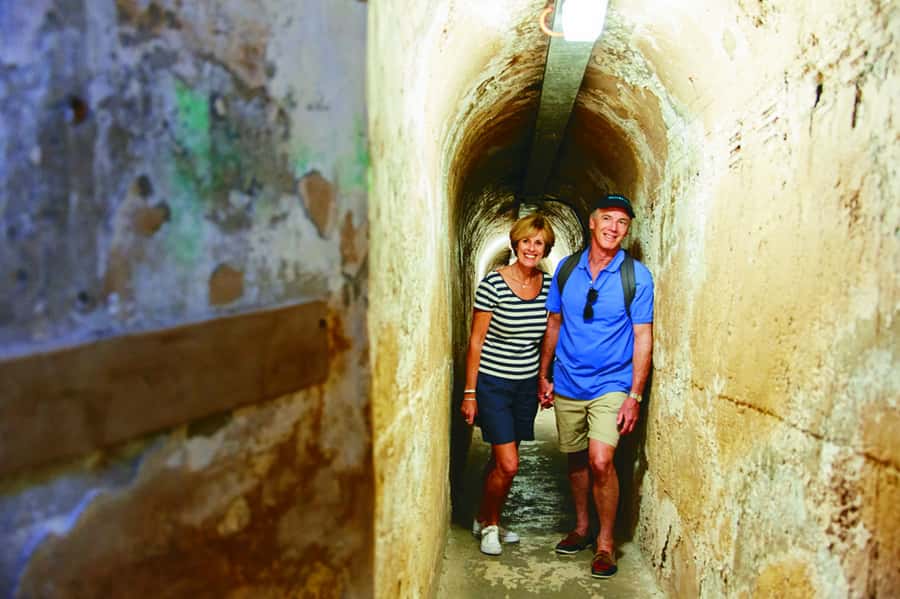 Rottnest Grand Island Package with Ferry, Tour & Light Lunch - Why this is a smart first day on Rottnest