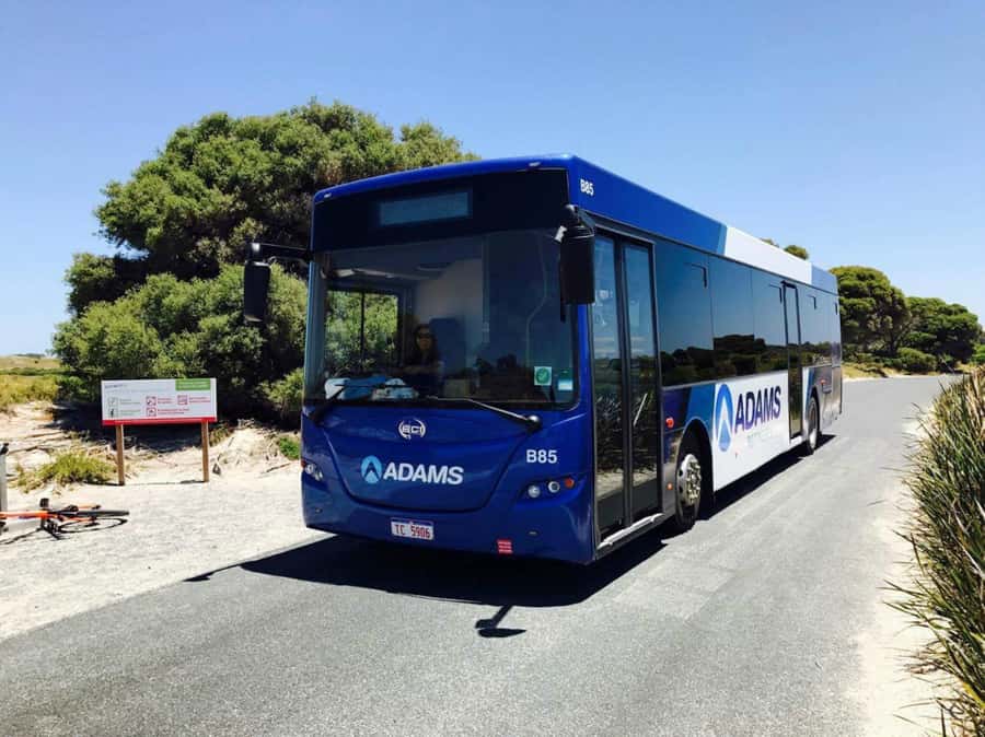 Rottnest Grand Island Package with Ferry, Tour & Light Lunch - The historic train and the ride to Oliver Hill