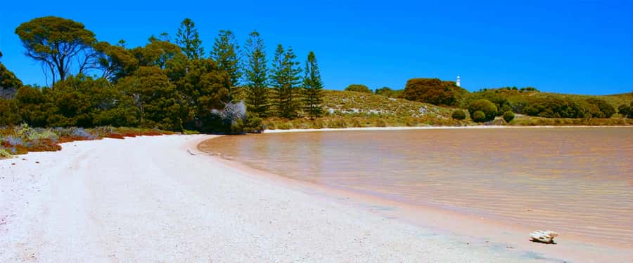 Rottnest Grand Island Package with Ferry, Tour & Light Lunch - Finding the train station after arrival