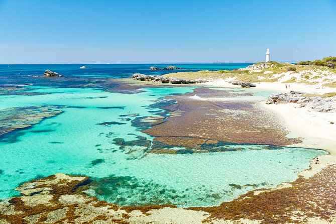 Rottnest Island Fast Ferry from Hillarys Boat Harbour Including Bike Hire - Quokkas, swimming, and food stops