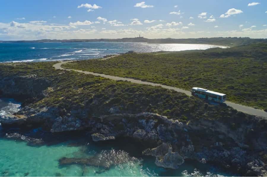 Rottnest Island Ferry and 1.75 Hr Bus Tour - Why the early ferry makes a difference