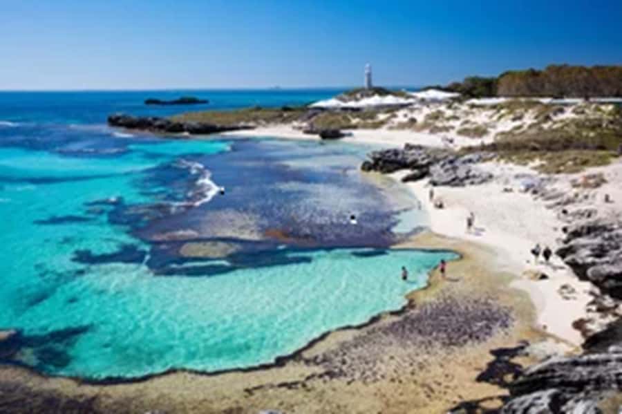 Rottnest Island Ferry and 1.75 Hr Bus Tour - Wildlife, plants, woodlands, and salt lakes