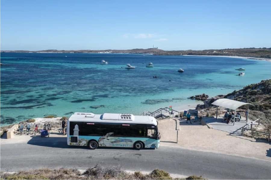 Rottnest Island Ferry and 1.75 Hr Bus Tour - Wadjemup Lighthouse and Rottnest’s past