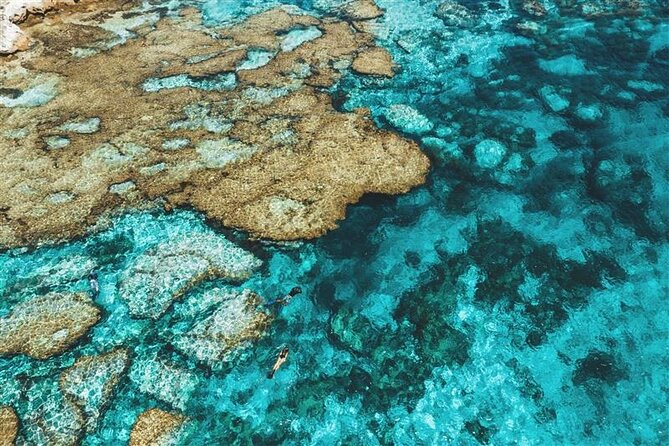 Rottnest Island Round Trip Ferry from Fremantle - Key points to know before you go