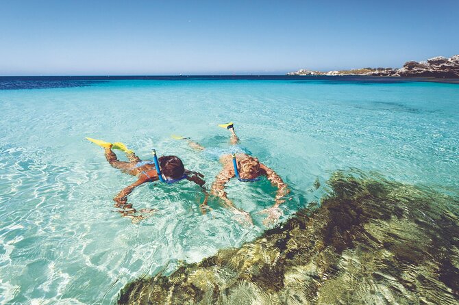 Rottnest Island Round-Trip Ferry from Perth - The ferry choice: Perth for scenery, Fremantle for speed