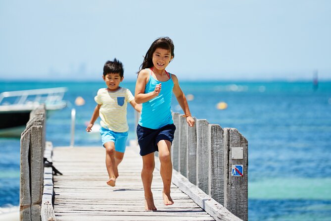 Rottnest Island Roundtrip Fast Ferry from Hillarys Boat Harbour - Why this ferry is a smart way to reach Rottnest