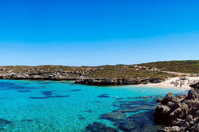 Rottnest Island Roundtrip Fast Ferry from Hillarys Boat Harbour - Who will enjoy this Rottnest trip most