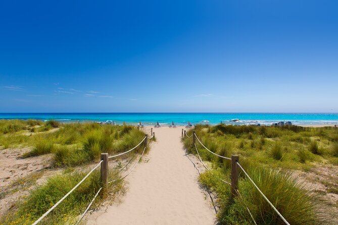 Round Trip Fast Ferry from Alcudia Mallorca to Menorca - Final call: book it for freedom, not a guided tour