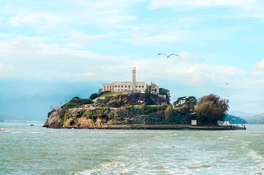 San Francisco: Hop-On Hop-Off Bus with Ferry & Alcatraz Tour - Civic Center, Haight-Ashbury, and the Painted Ladies