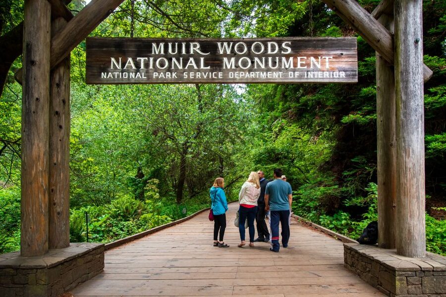 San Francisco: Morning Muir Woods & Sausalito Tour w/ Ferry - Should you book the Muir Woods and Sausalito combination?