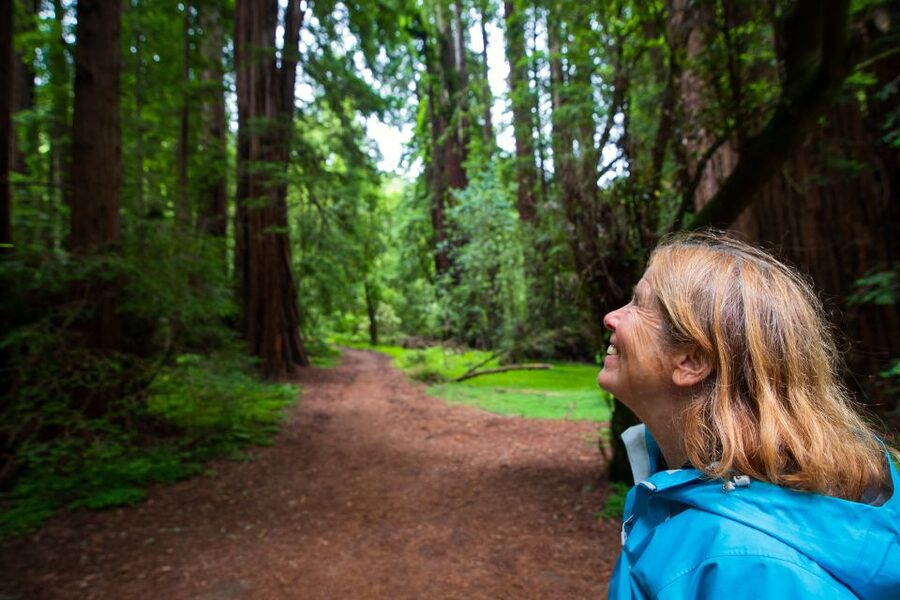 San Francisco: Morning Muir Woods & Sausalito Tour w/ Ferry - The short ride to Sausalito