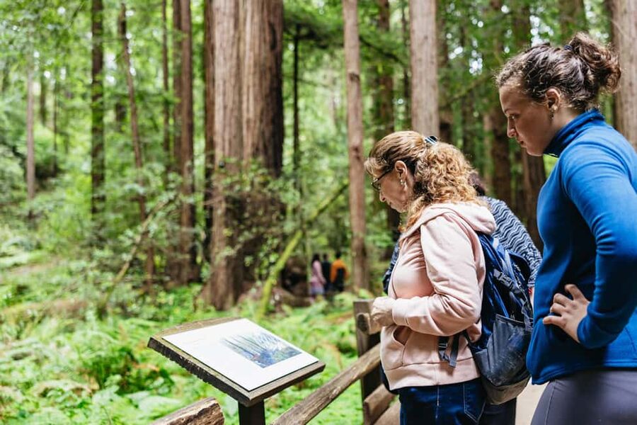 San Francisco: Muir Woods & Sausalito Tour with Ferry Option - Key points to know before you book