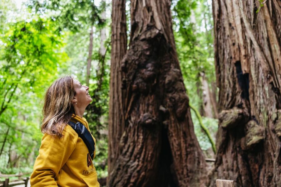 San Francisco: Muir Woods & Sausalito Tour with Ferry Option - Walking beneath the giant redwoods at Muir Woods