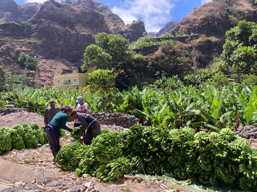 Santo Antão Highlights: Day Trip by Car with Ferry from SV - The ferry from São Vicente to Porto Novo