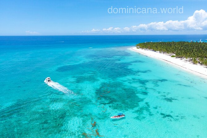 Saona Island, Natural pool Starfish, Fast boat, Catamaran +Dances - Key points to know before you book
