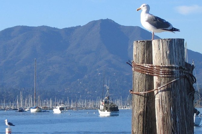 Sausalito Ferry from Pier 41, San Francisco - The best views are on the crossing