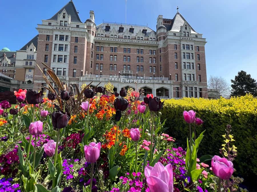 Seattle: Victoria, BC Round-Trip Ferry Tour - Why the Seattle to Victoria route works