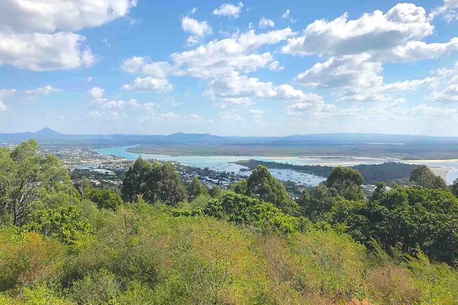 Secrets of Noosa Tour with Oceanview Lunch, Nature & Noosa River Ferry - The Noosa River ferry finishes the route naturally