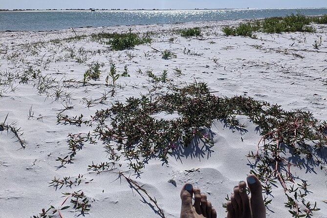 Shell Key Ferry from Ft. DeSoto Boat Ramp in Tierra Verde, FL - Shell Key’s beach, shells, and open shore