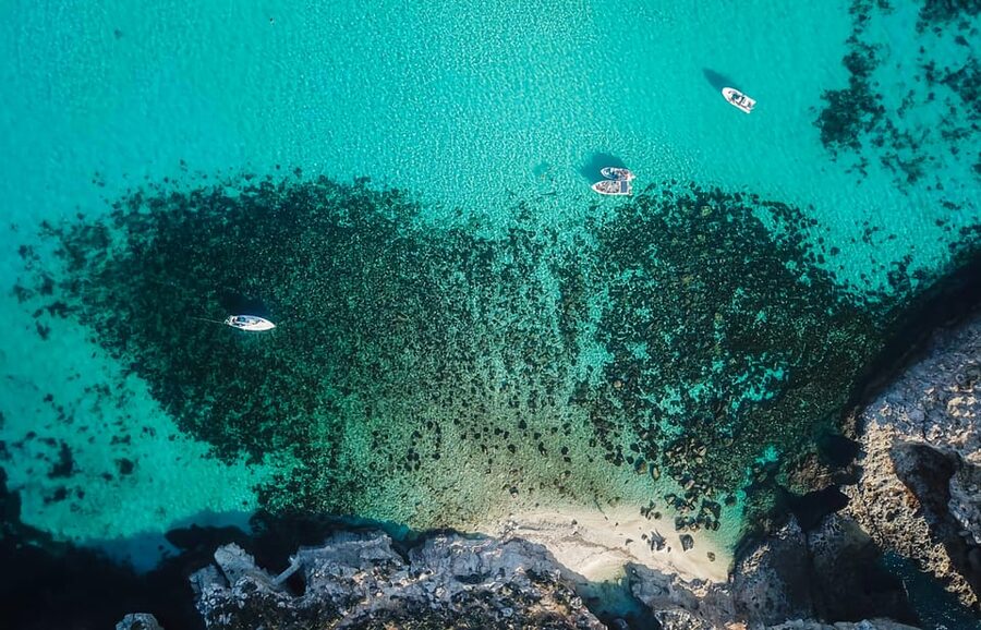 Sliema/St. Paul's: Gozo, Comino & Blue Lagoon Ferry Cruise - Blue Lagoon: beautiful water, limited room
