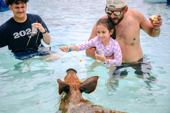 Swimming Pigs Of Rose Island Water Taxi Nassau Bahamas - Key points to know before booking