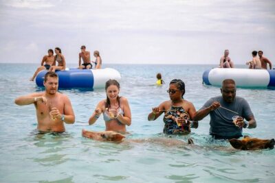 Swimming Pigs Of Rose Island Water Taxi Nassau Bahamas