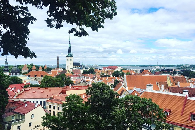 Tallinn Day Tour from Helsinki (Ferry Tickets+ Guiding+ Own Time) - Alexander Nevsky Cathedral adds a striking contrast