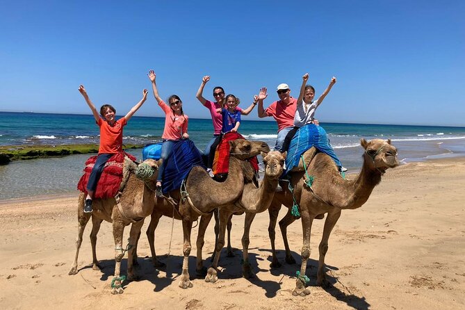 Tangier Private Tour from Tarifa with Express Ferry - Three hours in the Medina and Petite Socco
