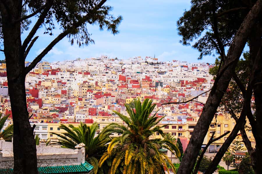 Tarifa: Day trip to Tangier by ferry with exclusive VIP service - The Camel Ride: Short and More Practical Than Scenic