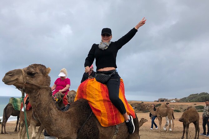 Tarifa to Tangier Tour with ferry ticket , lunch & camel ride - Key things to know before you book