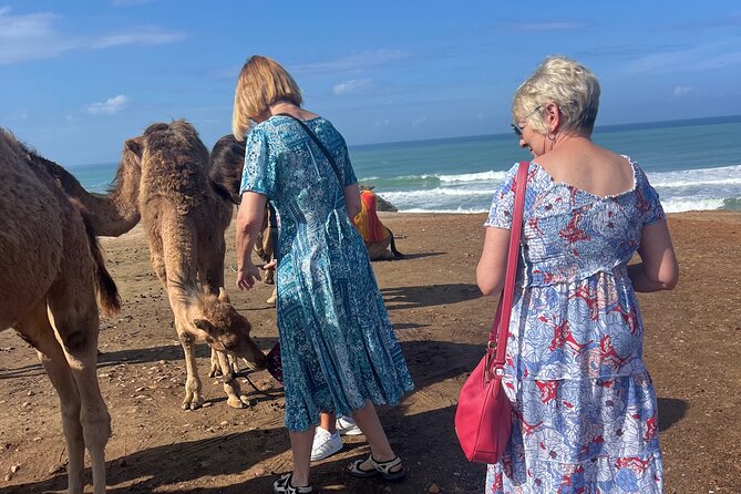 Tarifa to Tangier Tour with ferry ticket , lunch & camel ride - Walking through the old Medina
